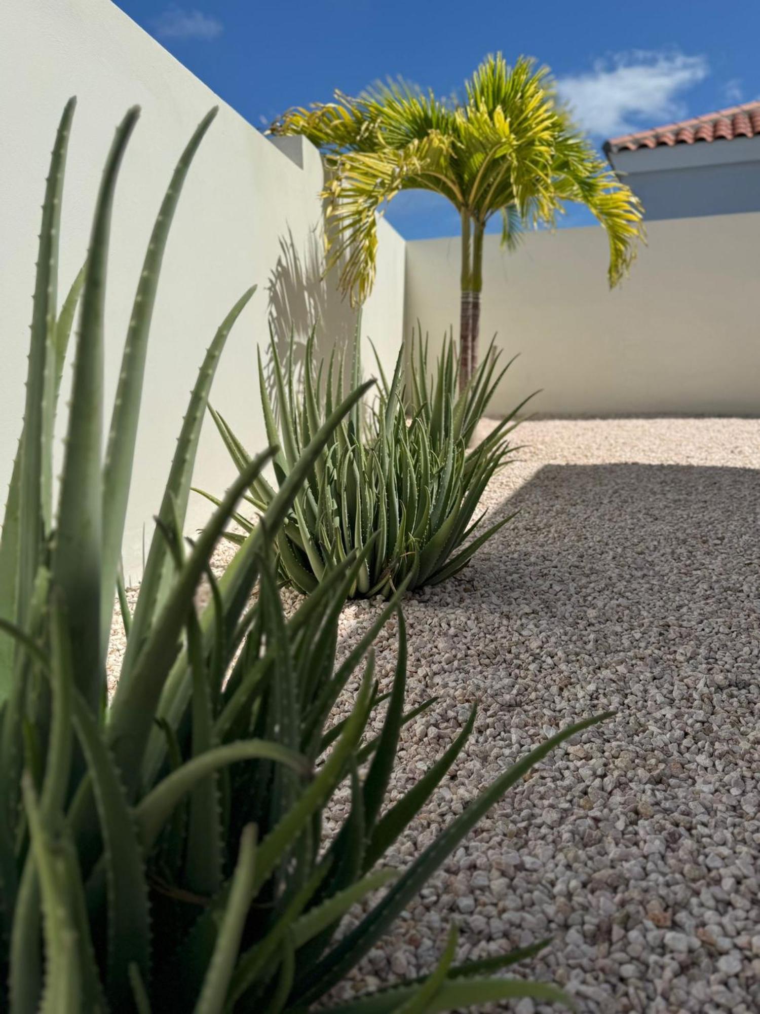 Villa Vista Montana Willemstad Zewnętrze zdjęcie